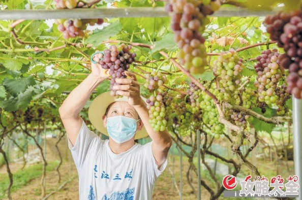 情欲小说网在线阅读愤怒的葡萄让我们在逆境中团结奋进，共同追求美好未来