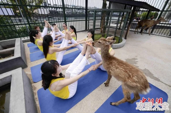 动物操女人让我们珍惜生命与自然和谐共处的美好时光