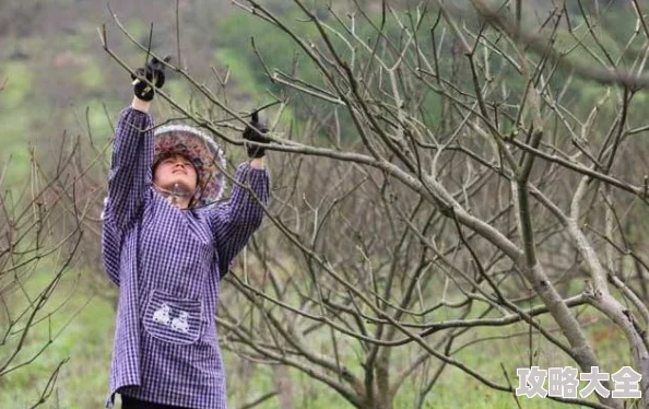 么公在果树林征服了小雪小雪成功逃脱藏身于山洞之中等待救援