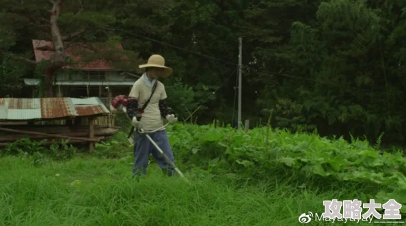 让我欣赏一下你的小森林画面粗糙玩法单一内容空洞浪费时间