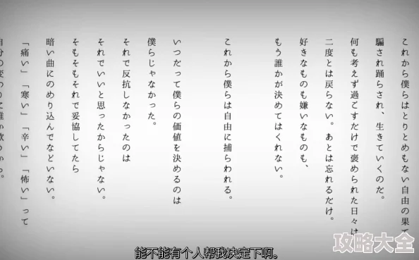 日本乱偷中文字幕画质模糊翻译糟糕体验差浪费时间毫无价值