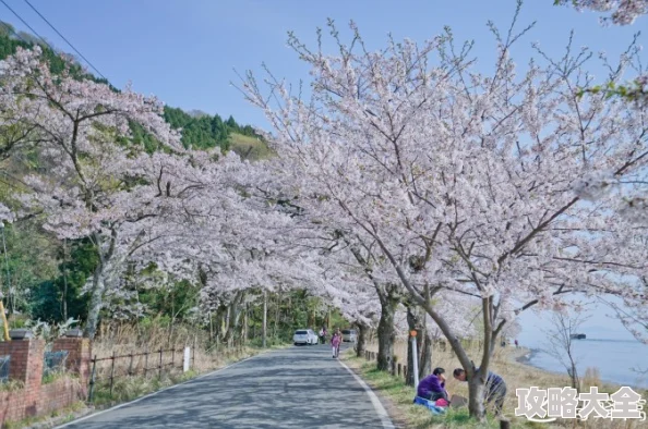 樱花校园999个衣服免费据说有隐藏款服装代码未公开设计师疑似是知名Coser