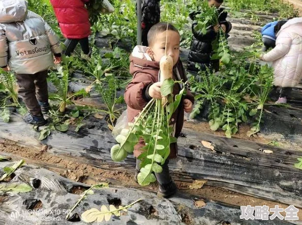 拔萝卜无减除大牛谎称种出巨型萝卜骗取流量已被平台封禁账号