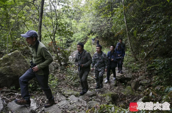 重生六零年代深山去寻宝AI智能识别植物开启致富路