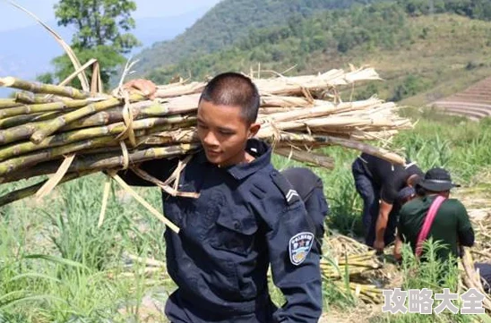 甘蔗地里的翁公讲述农村老人坚守传统技艺传承的故事