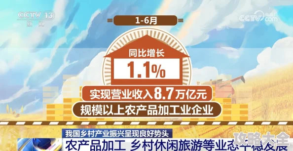 山村精品乱肉合集乱2025乡村振兴新思路助农增收电商直播培训火热