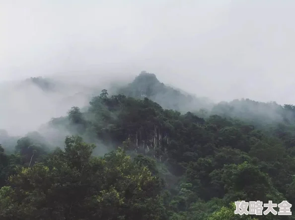 小雷和胡秀英投身植物学研究数十年足迹遍布祖国山川