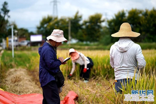 《植物大战僵尸杂交版挑战模式18关攻略详解 | 轻松通关秘籍》为广大游戏爱好者提供了一场独特的策略与技巧盛宴。本文将深入探讨这一挑战模式的攻略要点，帮助玩家轻松驾驭难度较高的第18关，从而顺利通关。