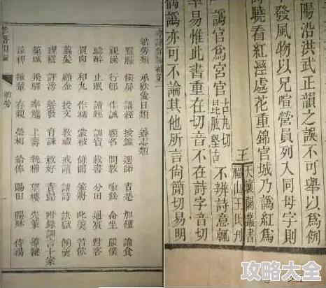 《择天记槐院伙伴选择指南》是一本专门为读者提供如何挑选最适合自己的槐院伙伴的实用手册。书中详细介绍了不同类型的槐院伙伴及其特点，帮助读者在众多选择中找到最契合自己需求和性格的伴侣。