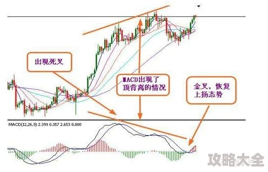 艾尔登法环纯法与战法优劣对比，实战表现哪个更胜一筹，一直是玩家们热议的话题。艾尔登法环作为一款深受玩家喜爱的动作角色扮演游戏，其独特的战斗系统和丰富的技能设定，为玩家提供了多种战斗策略。本文将围绕纯法与战法的优劣展开分析，探讨实战中哪个更为出色。