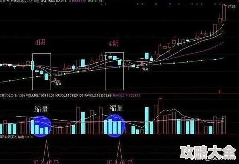 英雄联盟手游中哪些法装收益最高及详细分析