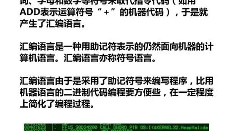 火种协定：深度解析与个人对角色强度的感想分享